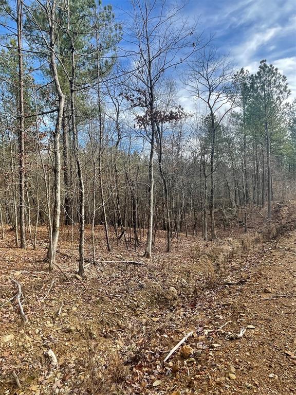 729 Timber Creek Trails South XI