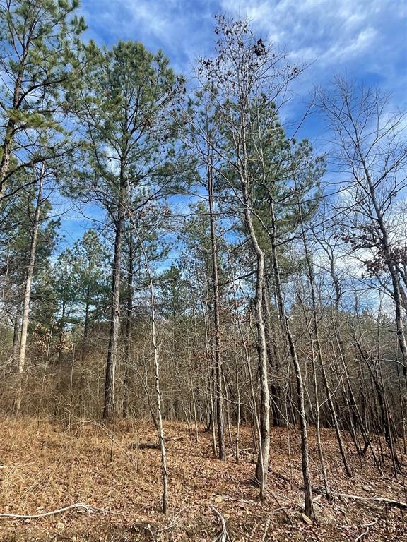 729 Timber Creek Trails South XI