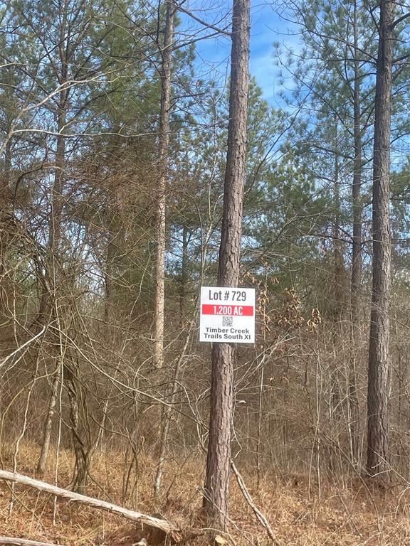 729 Timber Creek Trails South XI