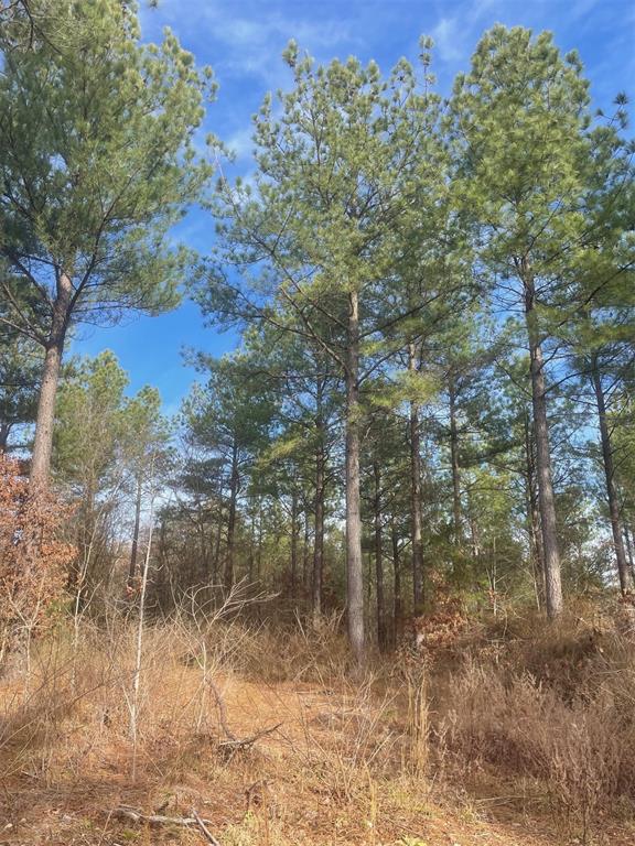 730 Timber Creek Trails South XI
