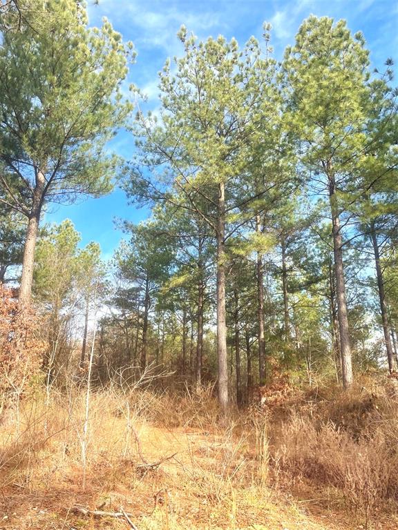 730 Timber Creek Trails South XI