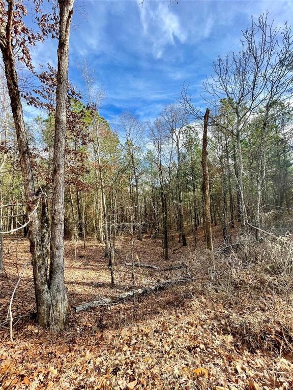 731 Timber Creek Trails South XI