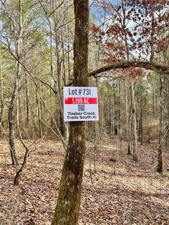 731 Timber Creek Trails South XI