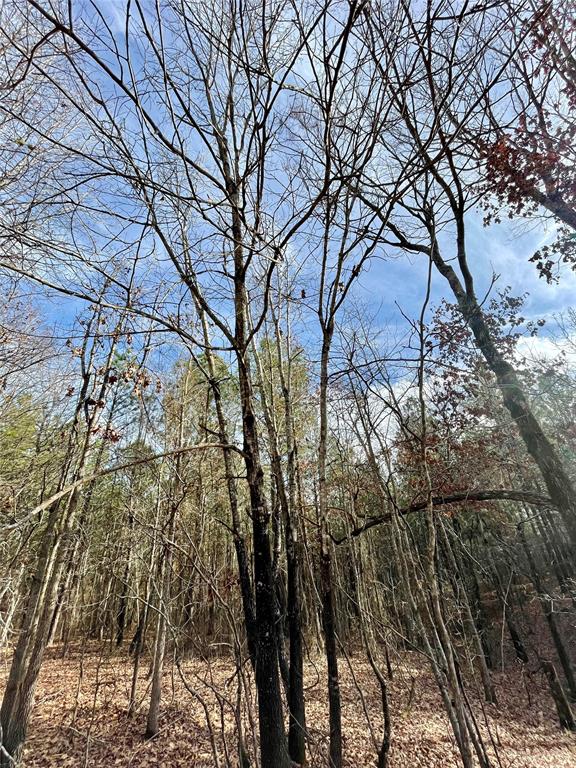 731 Timber Creek Trails South XI