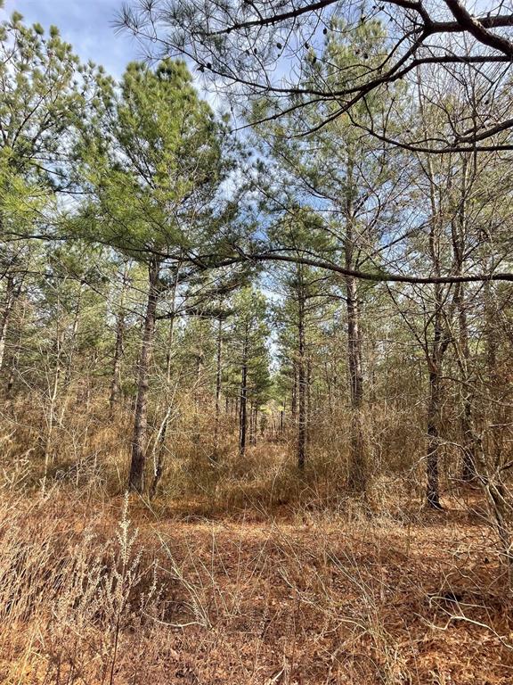 732 Timber Creek Trails South XI