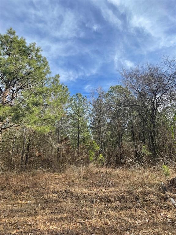 732 Timber Creek Trails South XI