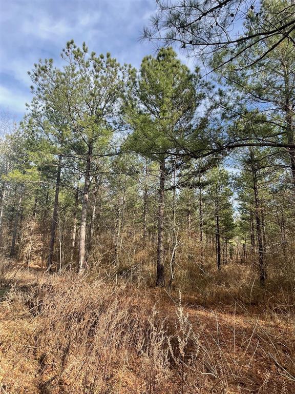732 Timber Creek Trails South XI