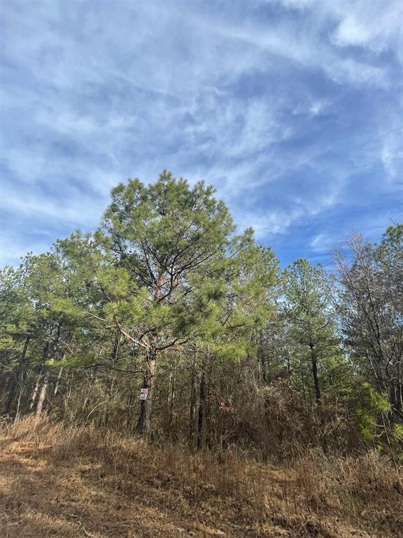 732 Timber Creek Trails South XI
