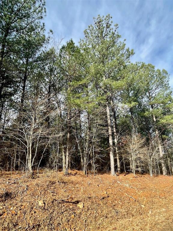 733 Timber Creek Trails South XI