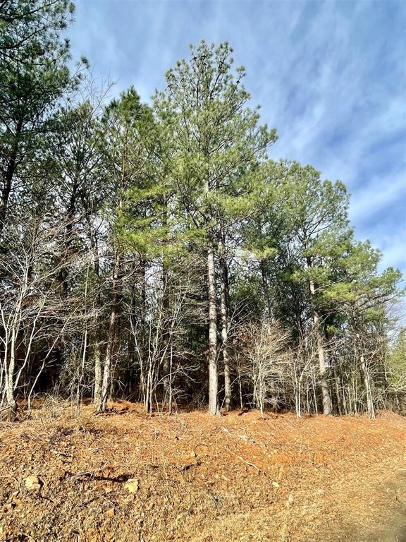 733 Timber Creek Trails South XI