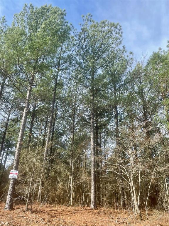 733 Timber Creek Trails South XI