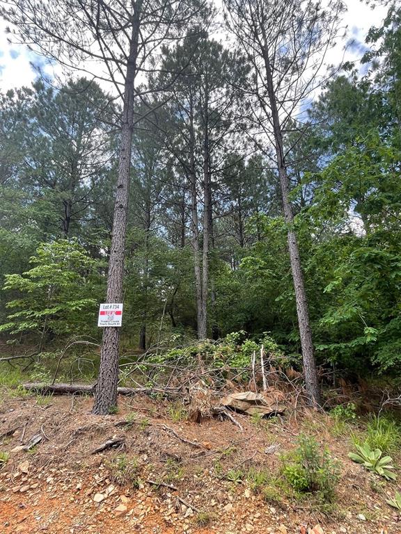 734 Timber Creek Trails South XI