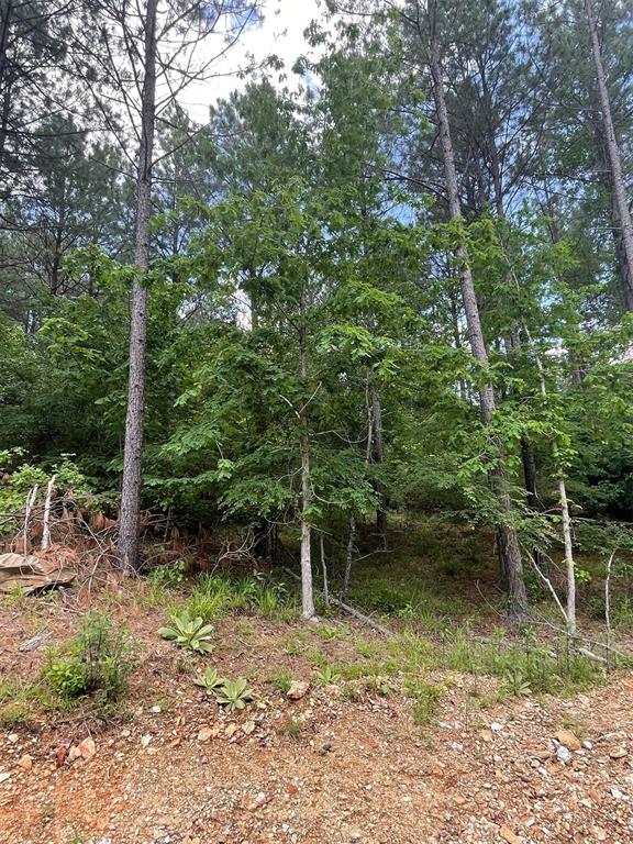 734 Timber Creek Trails South XI