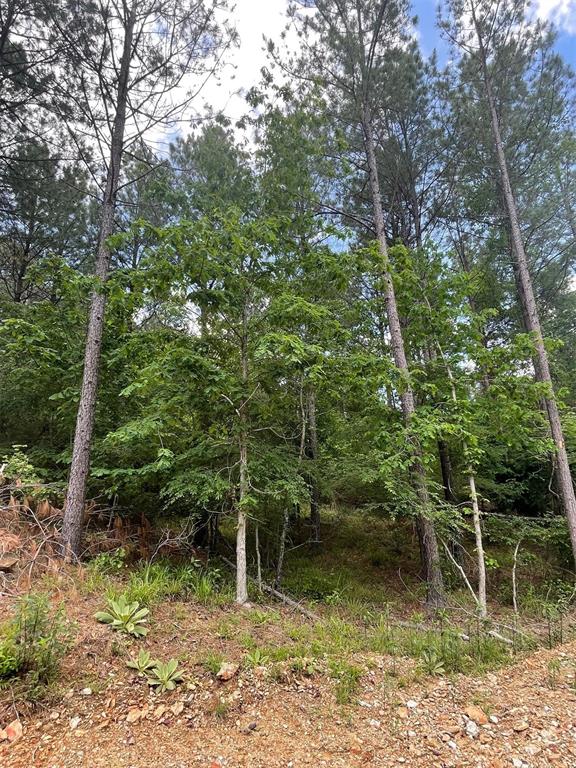 734 Timber Creek Trails South XI