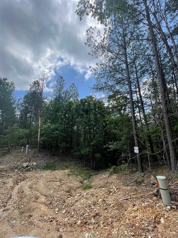 735 Timber Creek Trails South XI