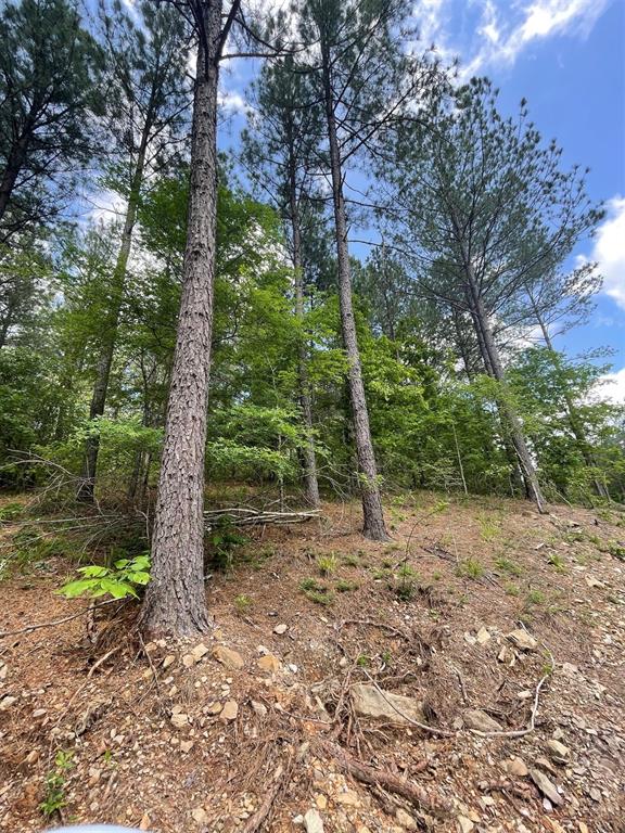 735 Timber Creek Trails South XI