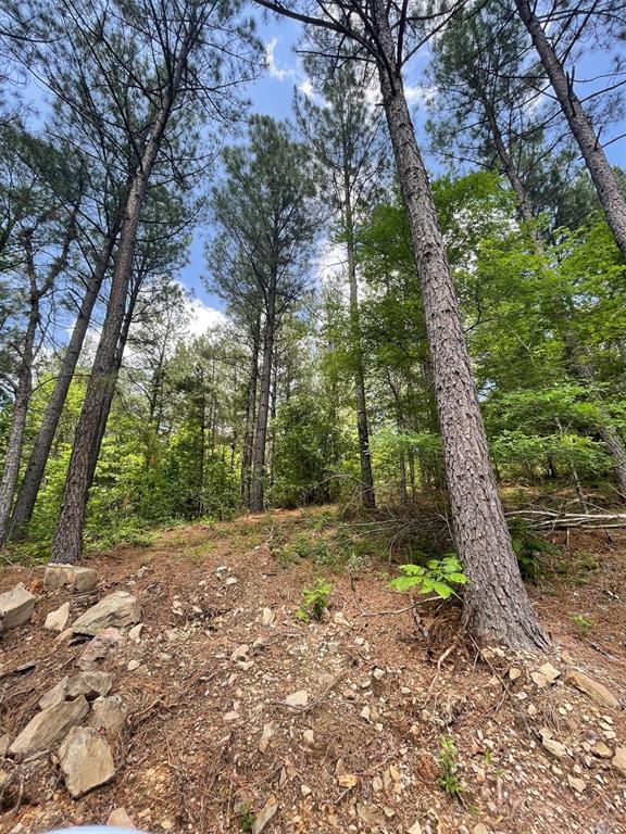 735 Timber Creek Trails South XI