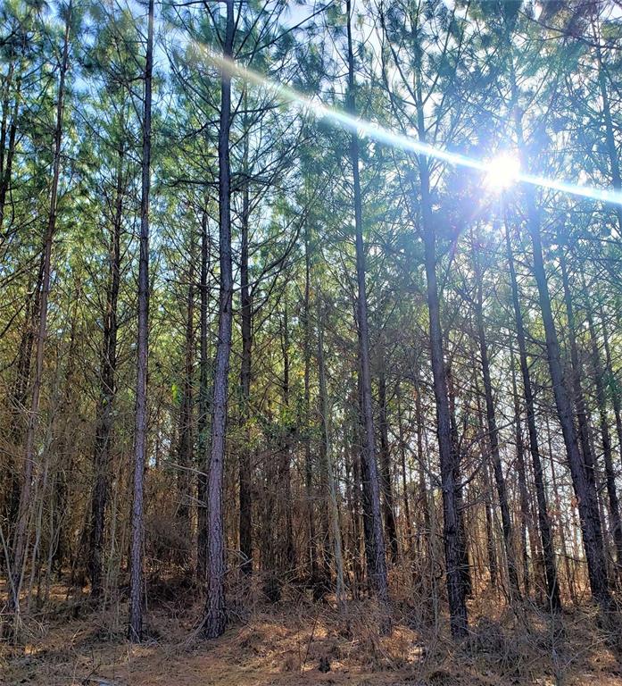 735 Timber Creek Trails South XI