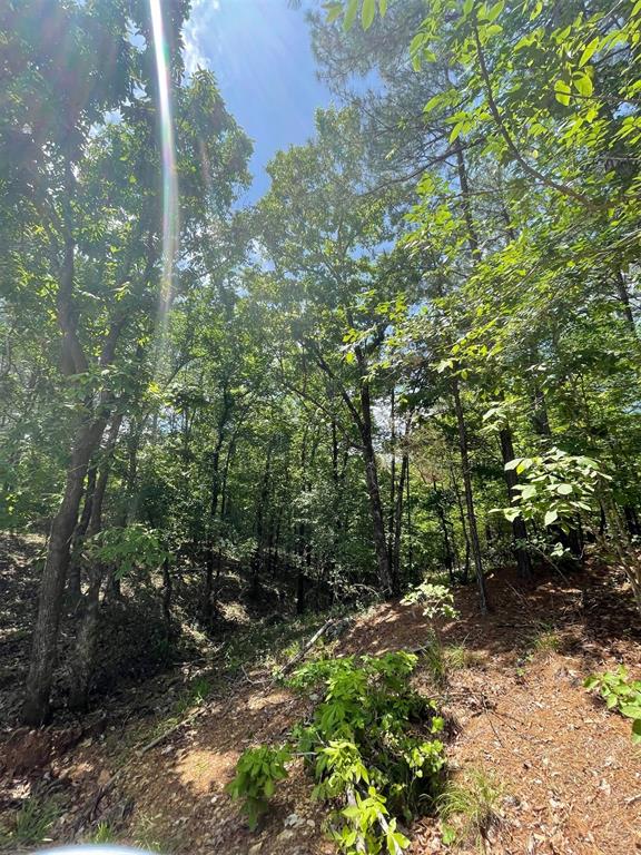 736 Timber Creek Trails South IX