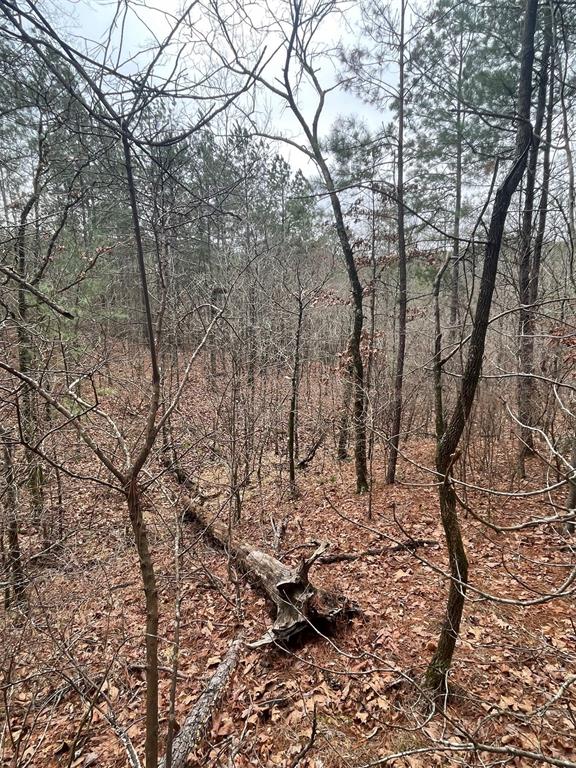 736 Timber Creek Trails South IX