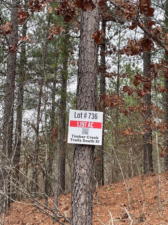 736 Timber Creek Trails South IX