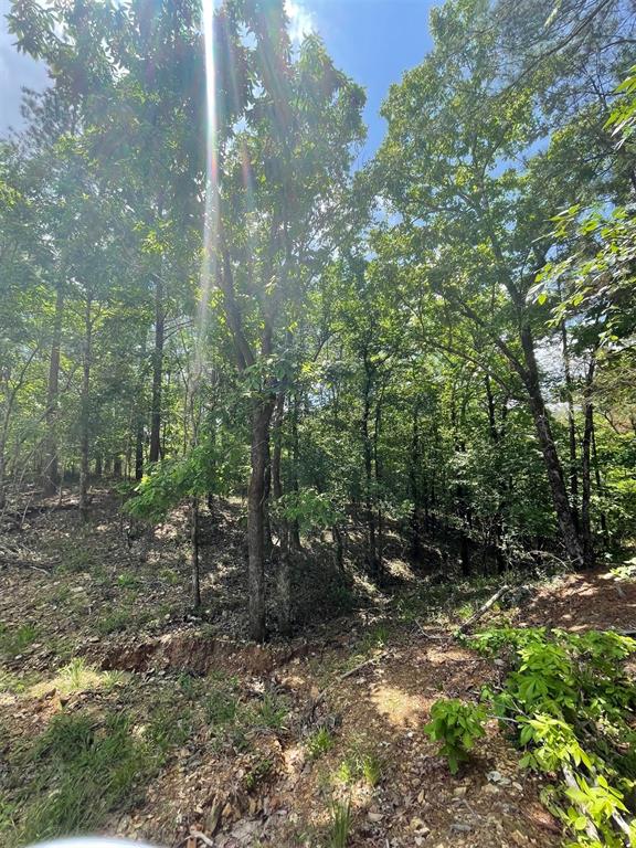 736 Timber Creek Trails South IX