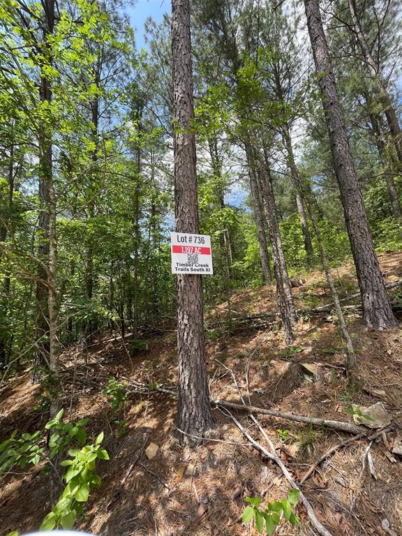 736 Timber Creek Trails South IX