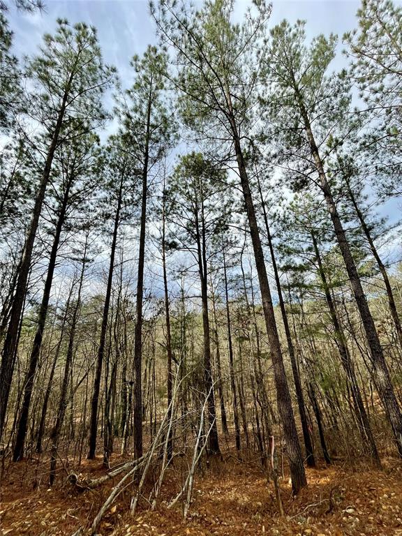 737 Timber Creek Trails South XI