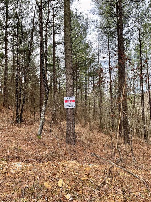 737 Timber Creek Trails South XI