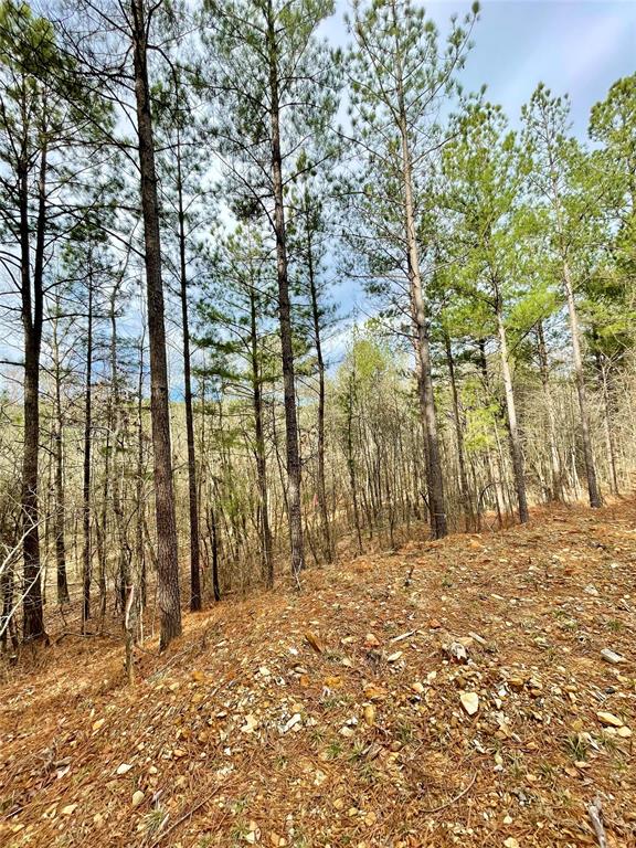 737 Timber Creek Trails South XI