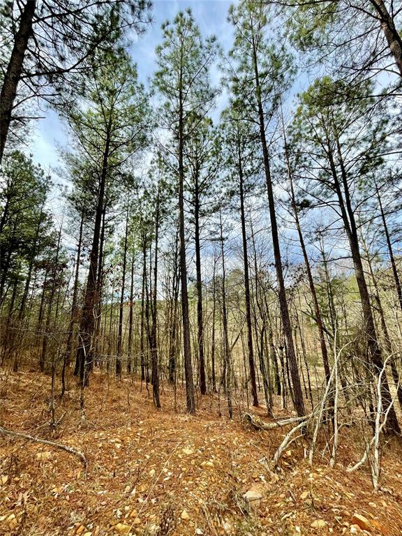 737 Timber Creek Trails South XI