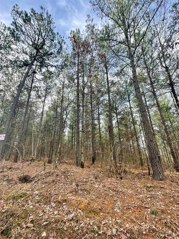 739 Timber Creek Trails South XI