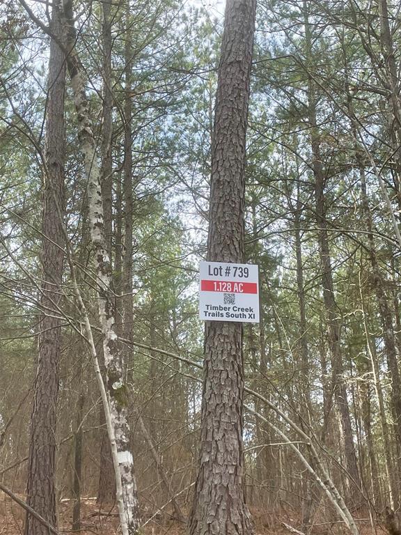 739 Timber Creek Trails South XI