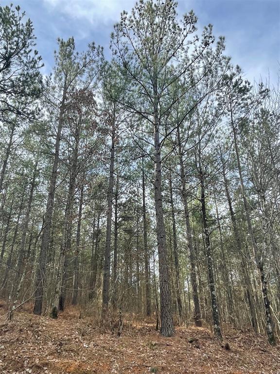 739 Timber Creek Trails South XI