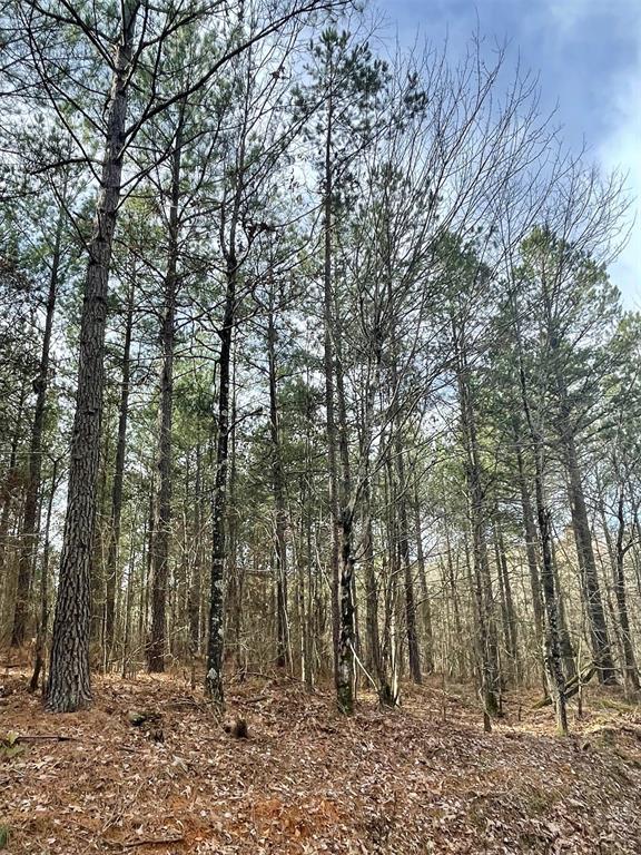 739 Timber Creek Trails South XI
