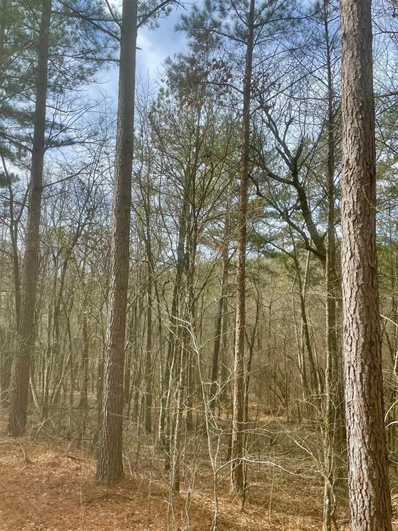 740 Timber Creek Trails XI