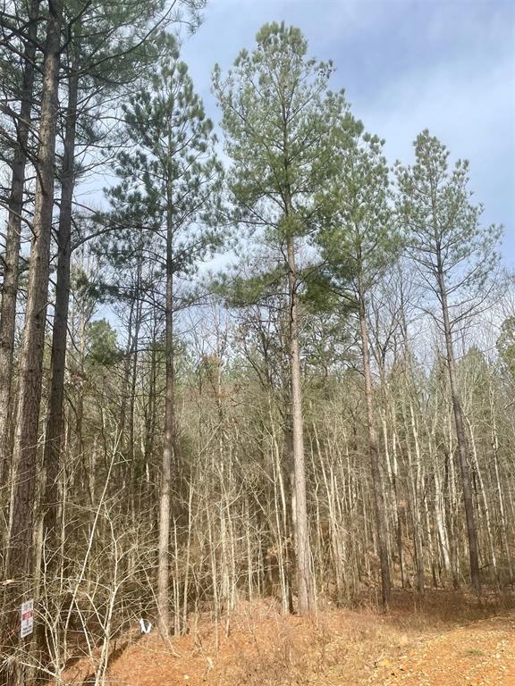 740 Timber Creek Trails XI