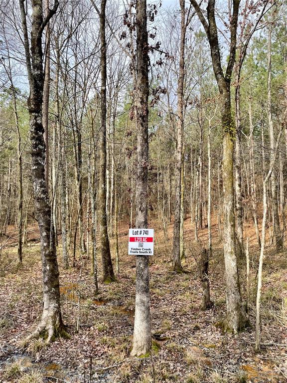 741 Timber Creek Trails South XI