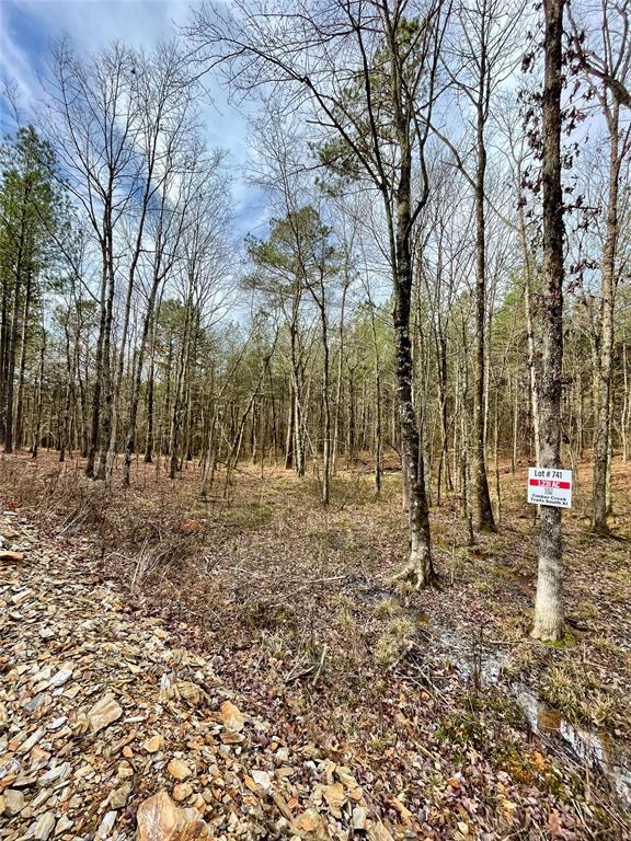 741 Timber Creek Trails South XI