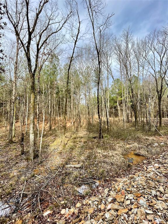 741 Timber Creek Trails South XI