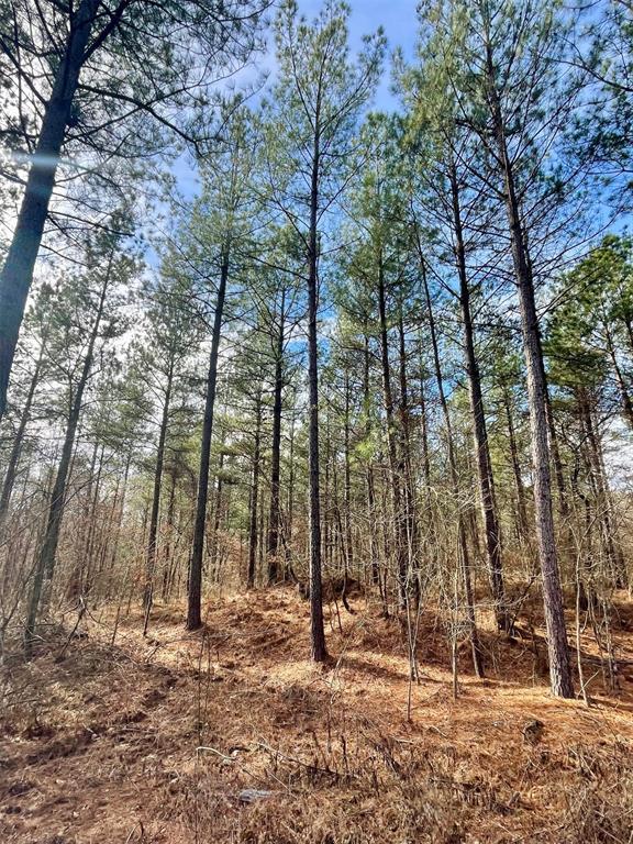 742 Timber Creek Trails South XI