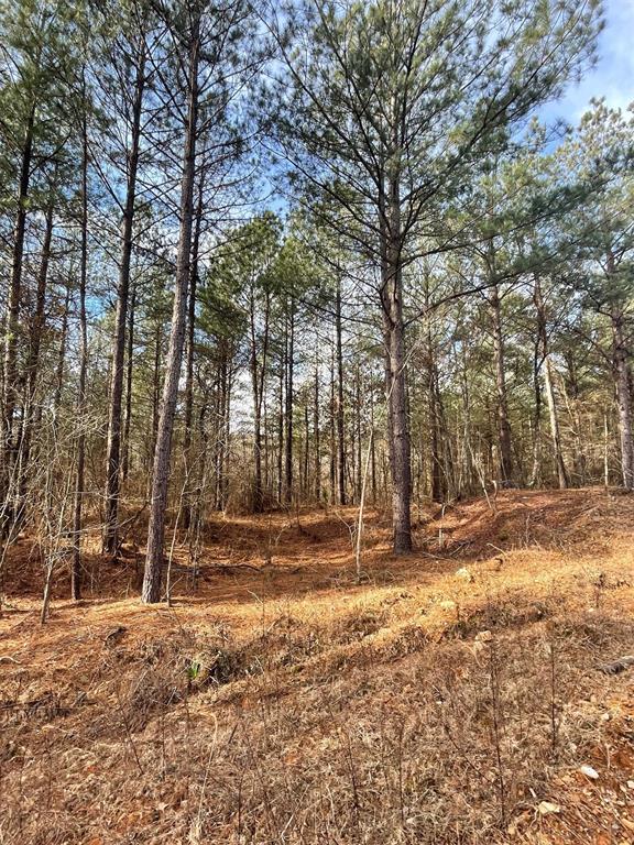742 Timber Creek Trails South XI