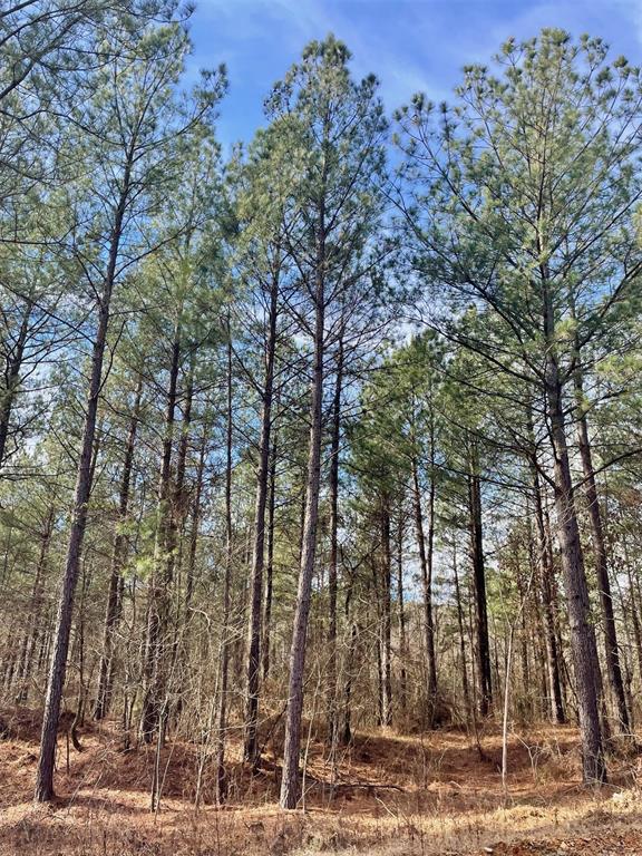 742 Timber Creek Trails South XI
