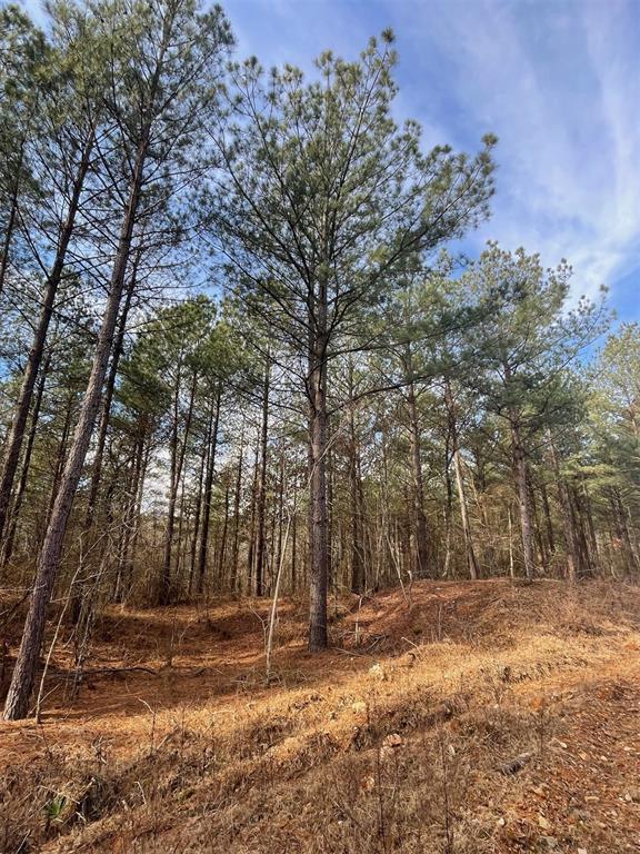 742 Timber Creek Trails South XI