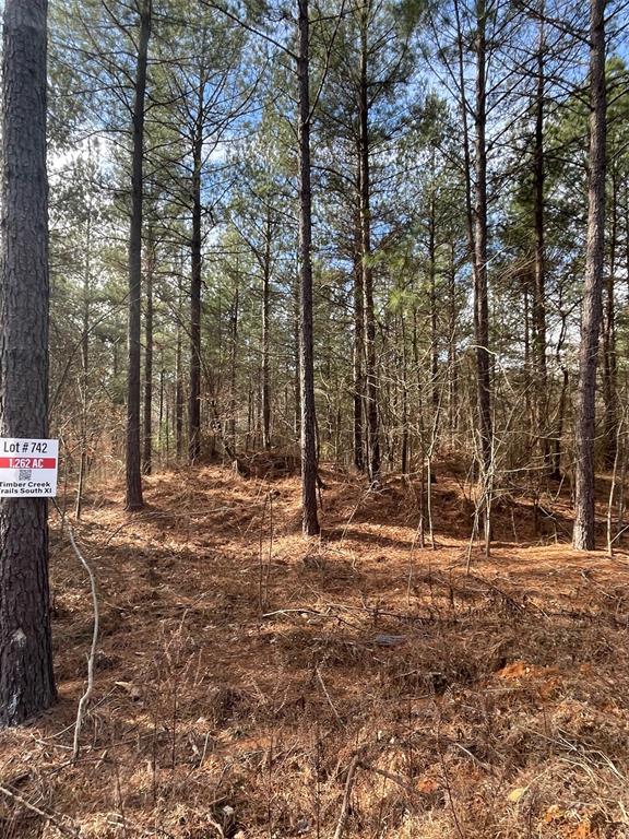 742 Timber Creek Trails South XI