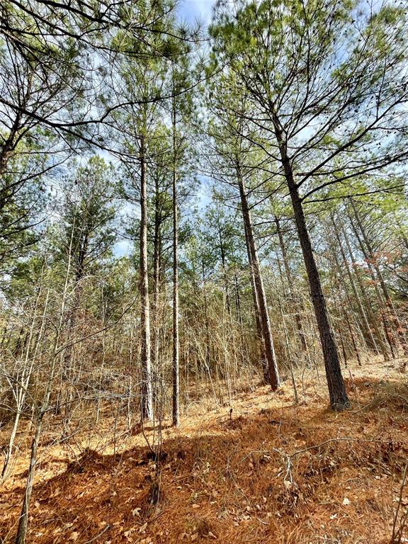 743 Timber Creek Trails South XI