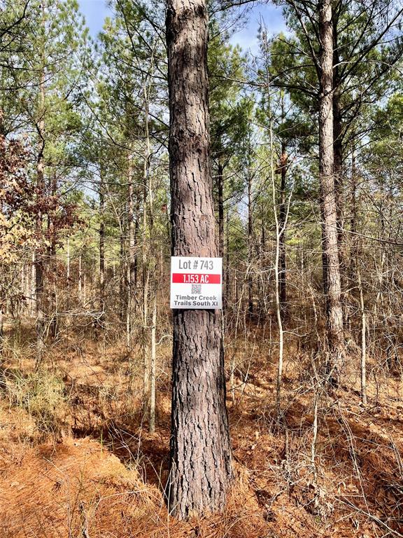 743 Timber Creek Trails South XI