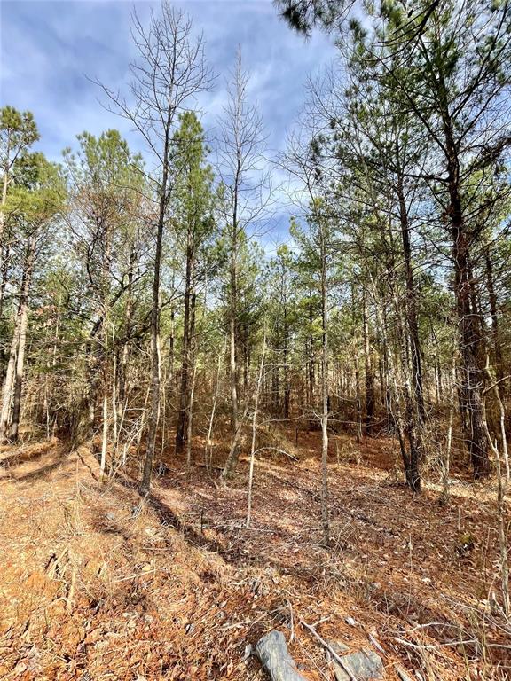 744 Timber Creek Trails South XI
