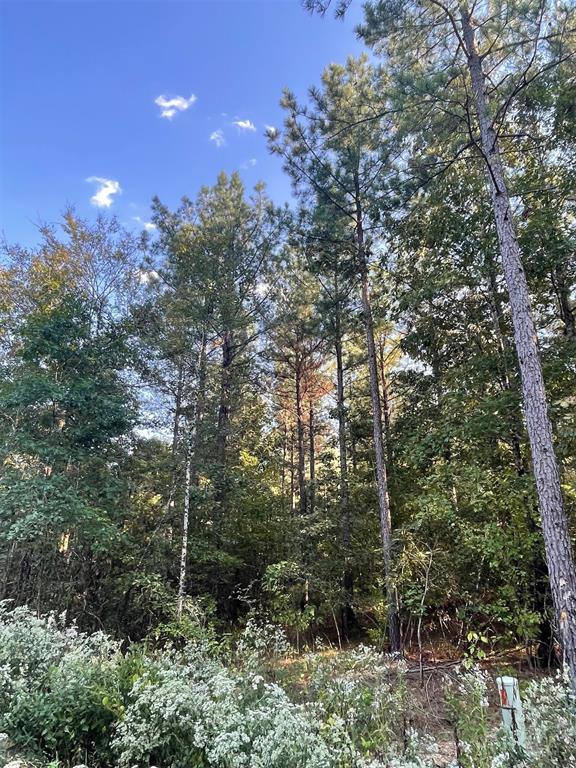 745 Timber Creek Trails South XI