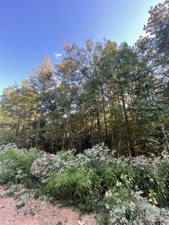 745 Timber Creek Trails South XI